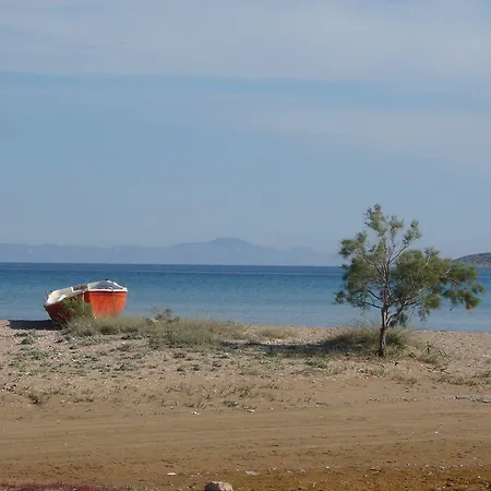 Galatis Aliki (Paros)