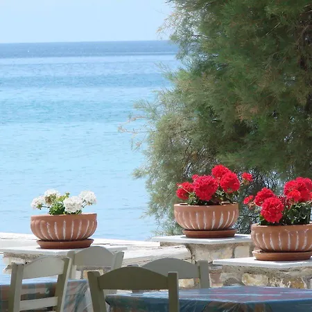 Galatis Aliki (Paros)